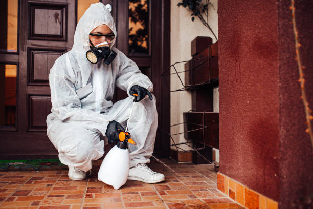 Reliable Wasp Removal contractor in Sleepy Hollow, IL by Show Me Pest Control