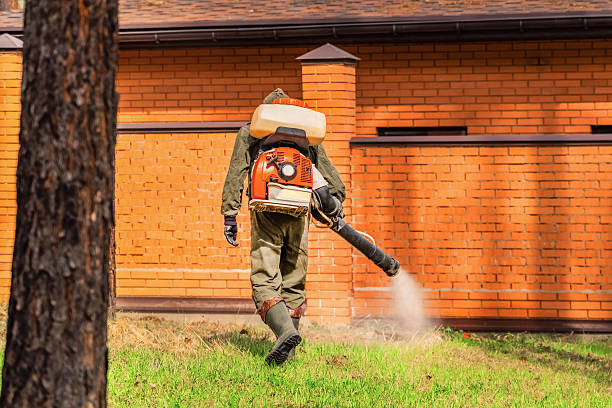 Top rated local Wasp Removal specialists in Sleepy Hollow, IL